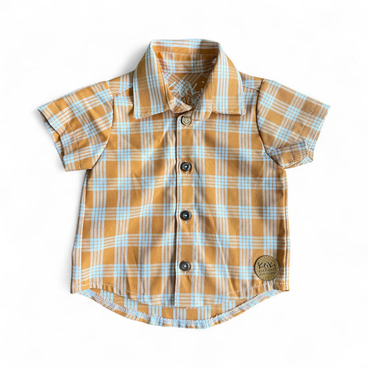 aloha shirt Pumpkin Palaka