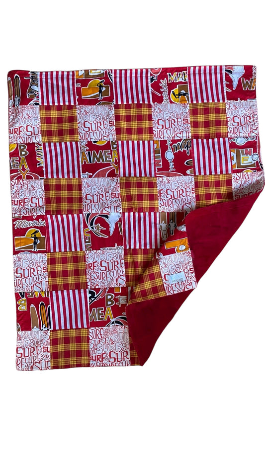 Minky blanket- red wave